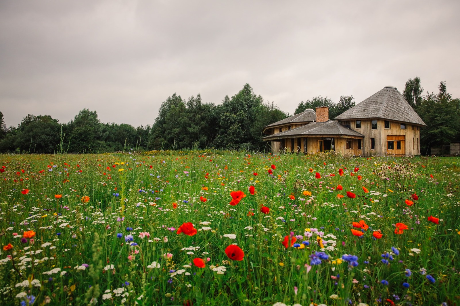 presencia retreat bewustzijn