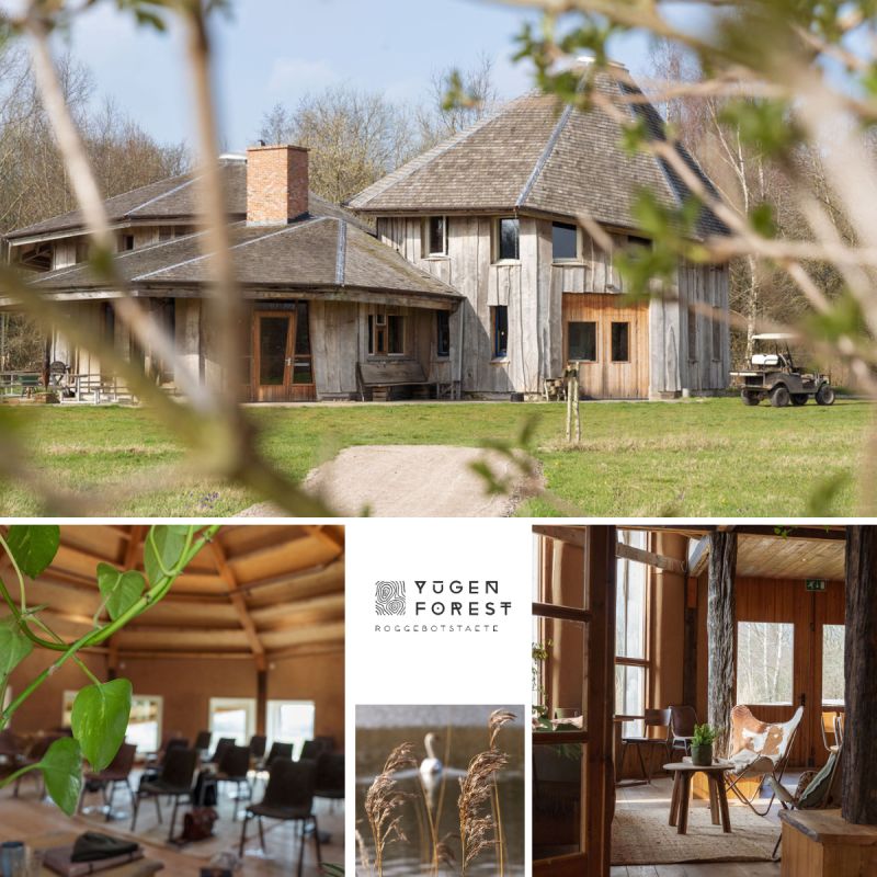 presencia retreat bewustzijn